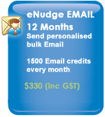 eNudge Email 12 months